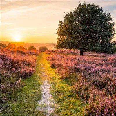 BOB·体育综合(综合)APP下载安装app下载